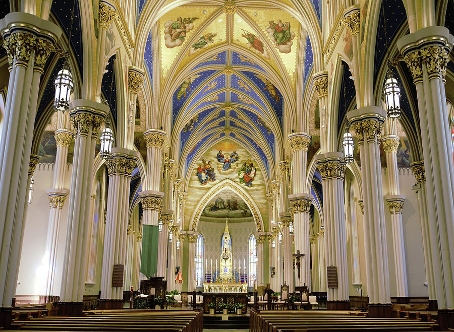 Basilica of the Sacred Heart Notre Dame Photograph by Diane Lindon Coy