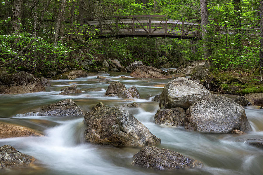 Basin Bridge Spring Photograph by White Mountain Images