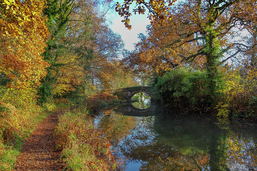 Fall Photograph - Basingstoke Canal Autumn by Philip Enticknap