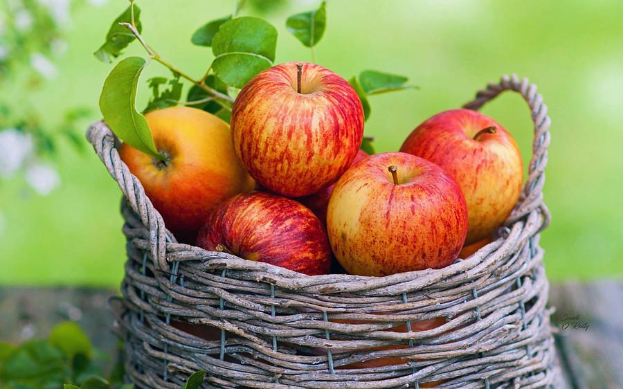 Fruit Photograph - Basket Of Fuji Apples by Sandi OReilly