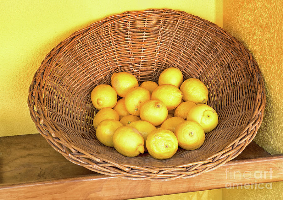 Basket of Lemons Photograph by Lynn Bolt