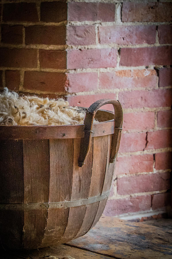 Basket of Raw Wool Photograph by Gerri Bigler