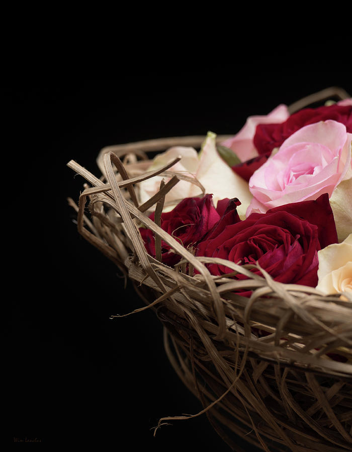 Basket of Roses Photograph by Wim Lanclus