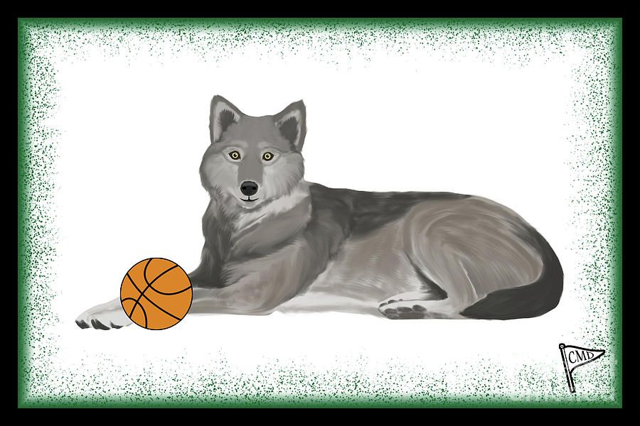 Basketball Court Digital Art by College Mascot Designs - Fine Art America