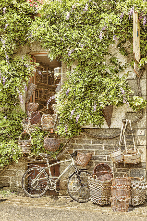 Baskets Galore Photograph by Elaine Teague