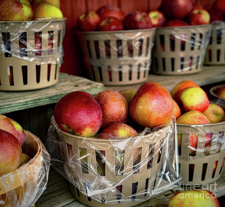 Nature Photograph - Baskets of Apples by Mark Miller