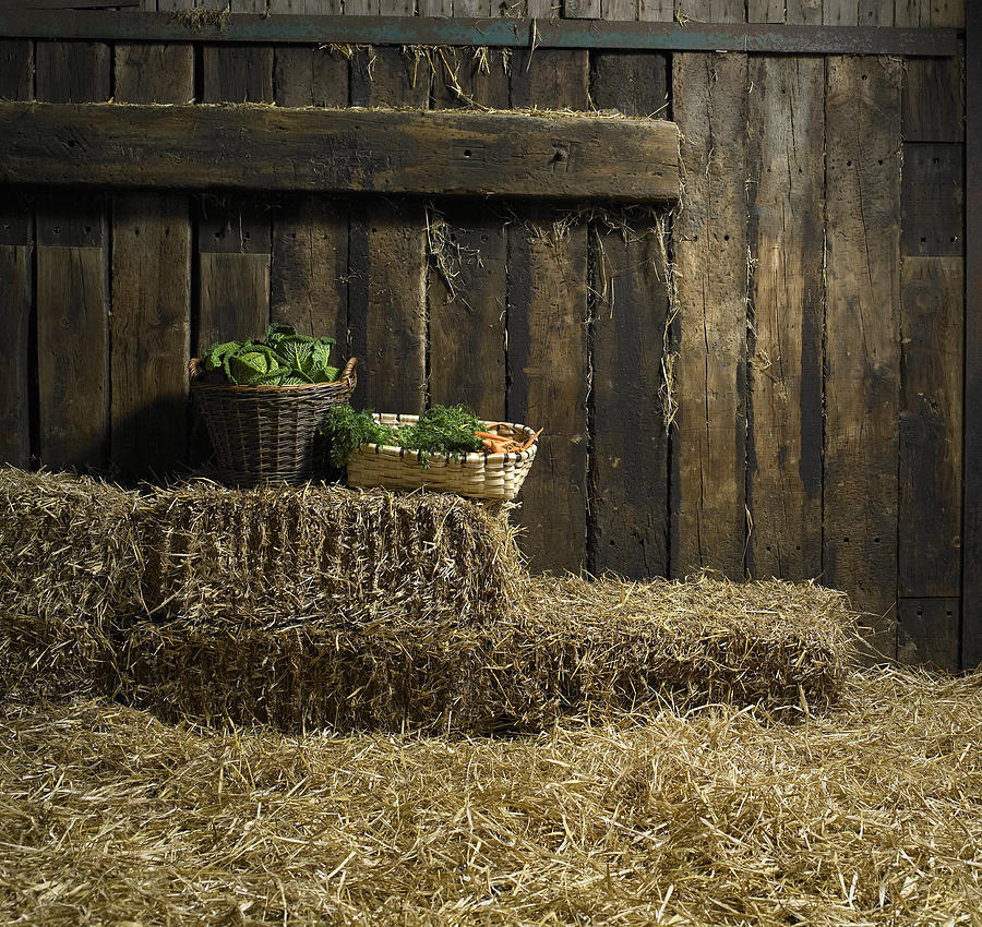 Baskets of cabbages and carrots on hay bales in barn Photograph by Alan Thornton