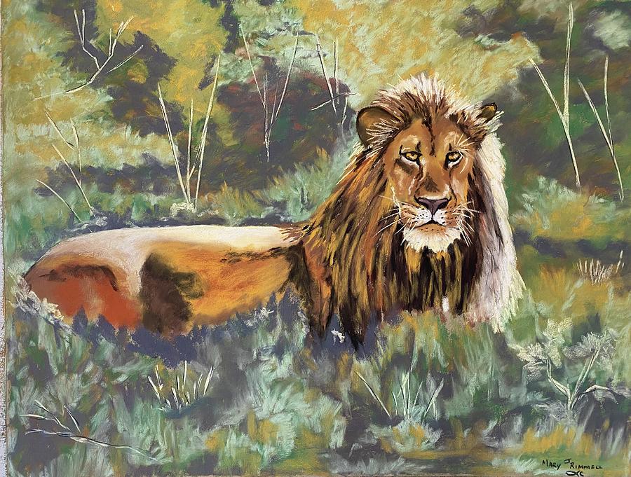 Lion Pastel - Basking in the sun by Mary Rimmell