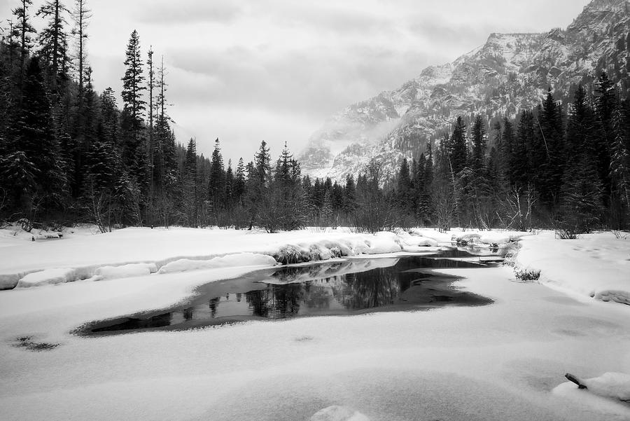 Bass Creek Black and White Photograph by Matt Hammerstein