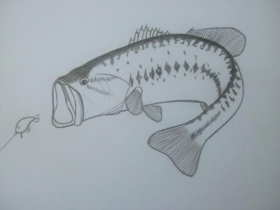 Bass fishin Drawing by Glenn Grimes | Fine Art America