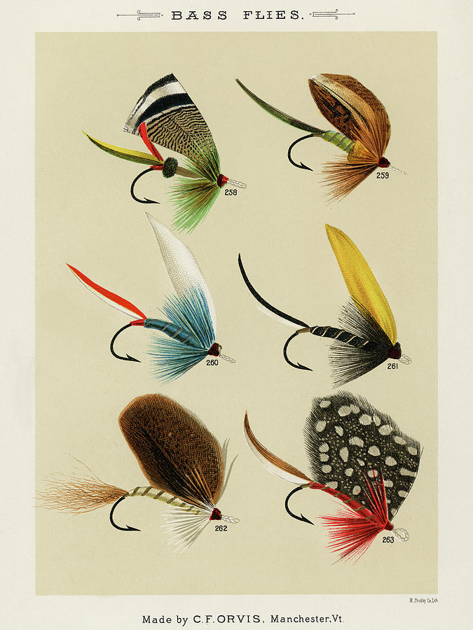 Sports Drawing - Bass Fishing Flies I from Favorite Flies and Their Histories by Mary Orvis Marbury
