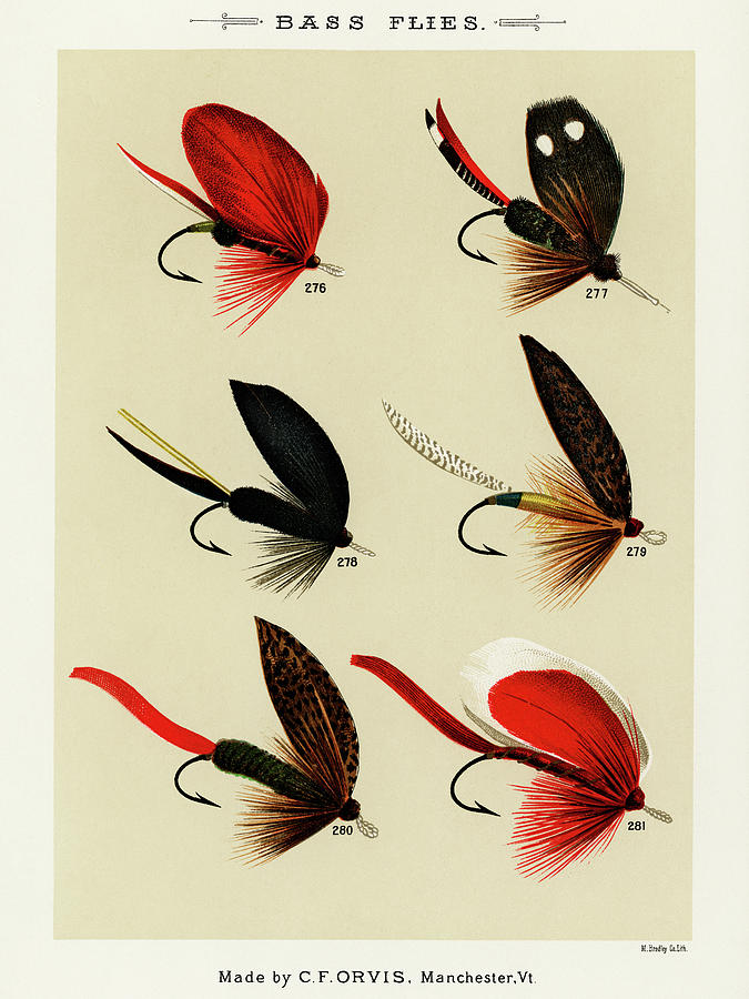 Bass Fishing Flies V from Favorite Flies and Their Histories Drawing by  Mary Orvis Marbury - Pixels Merch