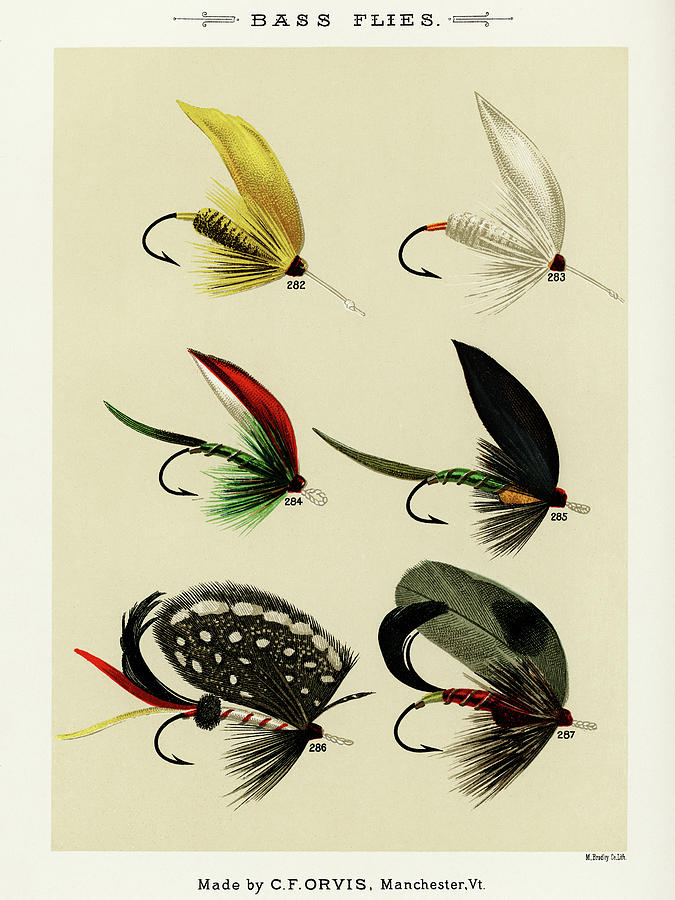 Sports Drawing - Bass Fishing Flies VI from Favorite Flies and Their Histories by Mary Orvis Marbury
