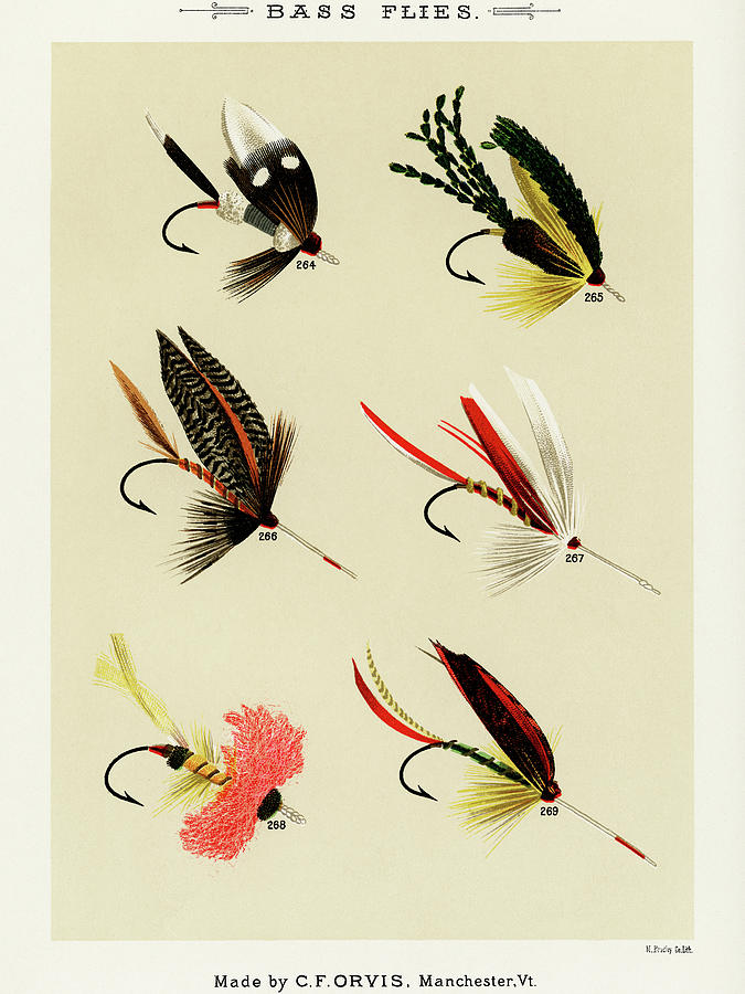 Sports Drawing - Bass Fishing Flies VIII from Favorite Flies and Their Histories by Mary Orvis Marbury