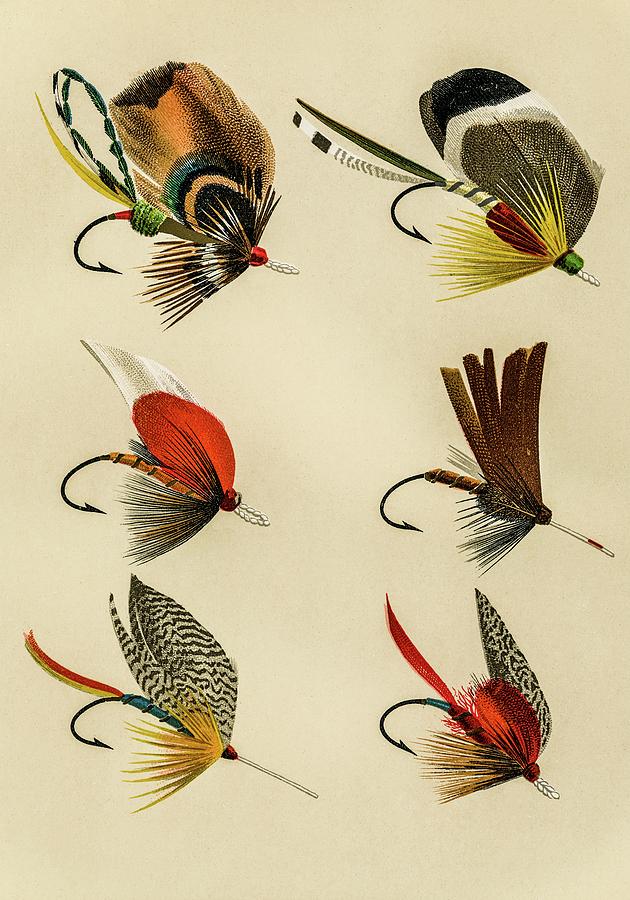 Bass Flies 2 Favorite Flies and Their Histories Mixed Media by Movie Poster Prints