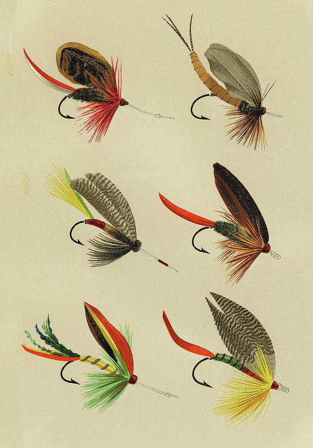 Bass Flies 3 Favorite Flies and Their Histories Mixed Media by Movie Poster Prints