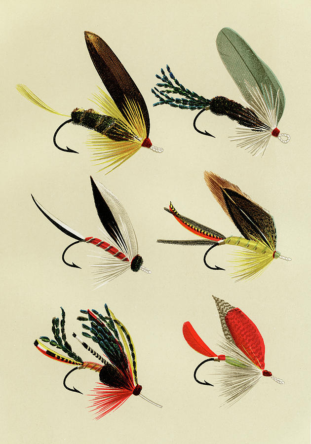 Bass Flies 4 Favorite Flies and Their Histories Mixed Media by Movie Poster Prints