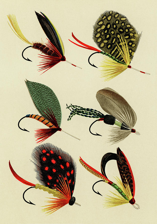 Bass Flies 5 Favorite Flies and Their Histories Mixed Media by Movie Poster Prints