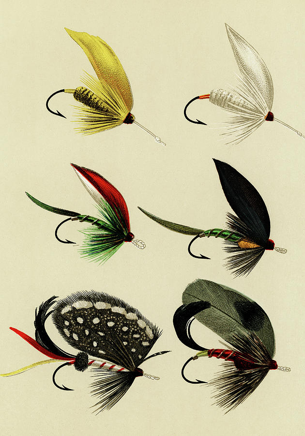 Bass Flies 7 Favorite Flies and Their Histories Mixed Media by Movie Poster Prints
