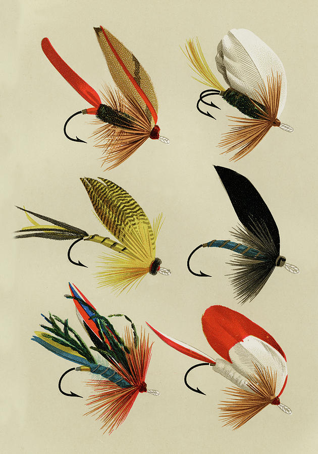 Bass Flies 8 Favorite Flies and Their Histories Mixed Media by Movie Poster Prints
