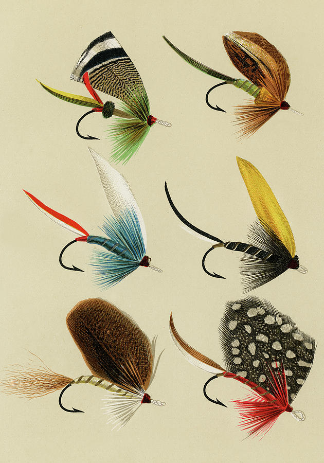 Bass Flies 9 Favorite Flies and Their Histories Mixed Media by Movie Poster Prints