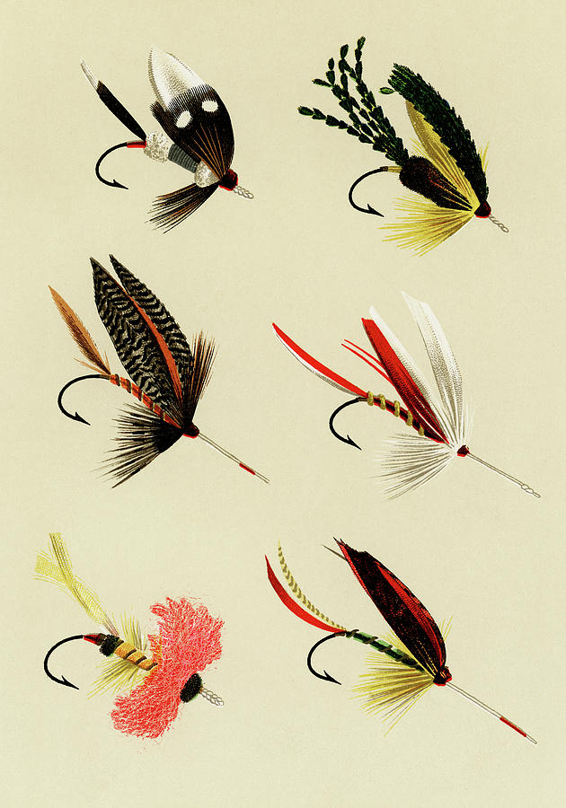 Bass Flies Favorite Flies and Their Histories Mixed Media by Movie Poster Prints
