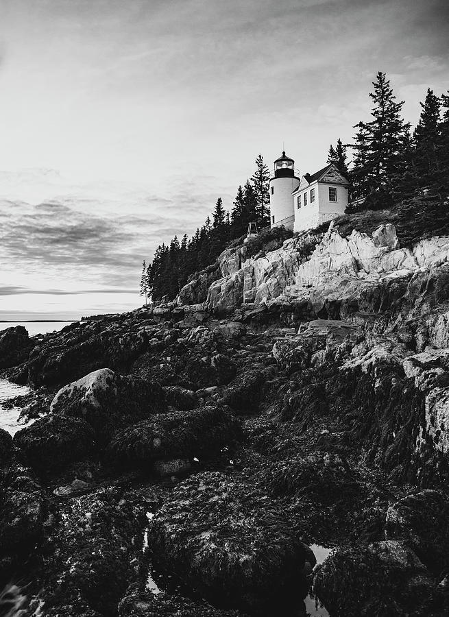 Bass Harbor Head Light Black And White Photograph by Dan Sproul