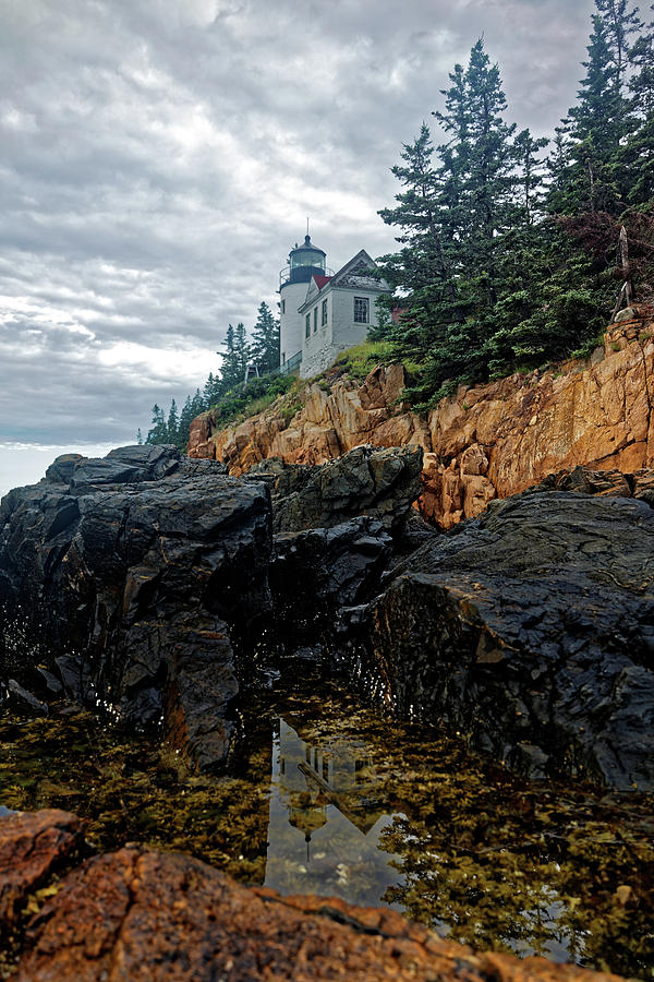 Bass Harbor Head Light Station Reflection Photograph by Doolittle Photography and Art