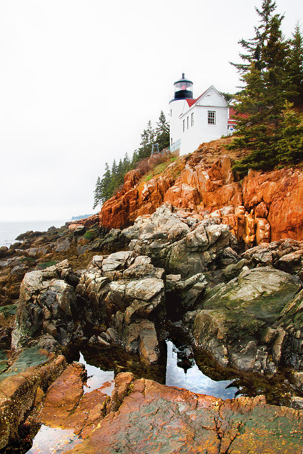 Bass Harbor Head Lighthouse Photograph by Greg Fortier - Fine Art America