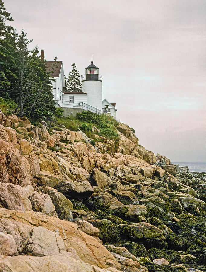 Bass Harbor Head Lighthouse Photograph by Nautical Chartworks