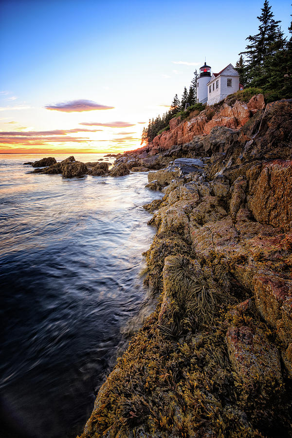 Bass Harbor Light, Acadia NP Photograph by Jeff Sinon