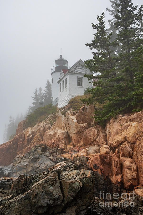 Bass Harbor Head Light - Lighthouse in the fog Photograph by Sturgeon Photography