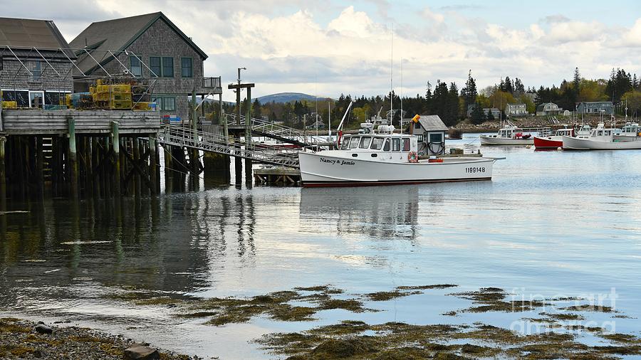 Bass Harbor Photograph by Steve Brown