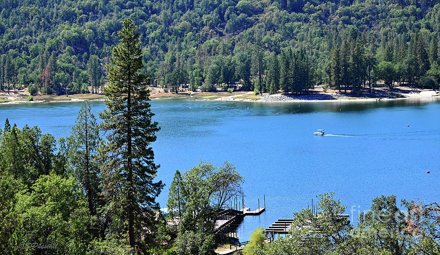 Bass Lake and Dock Photograph by Debby Pueschel