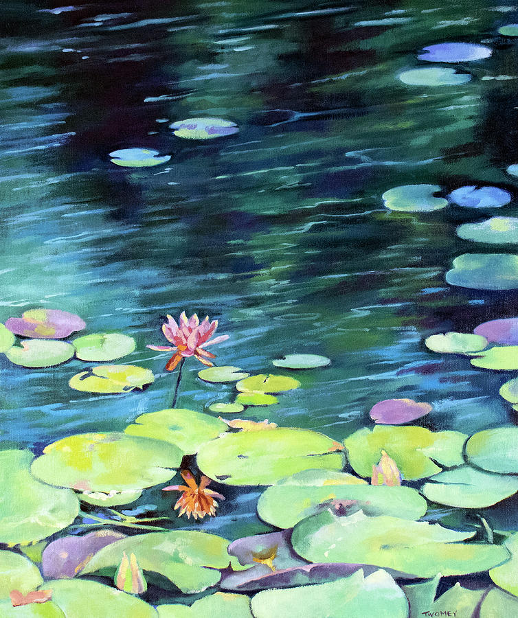Bass Pond Waterlilies With Reflections Painting by Catherine Twomey