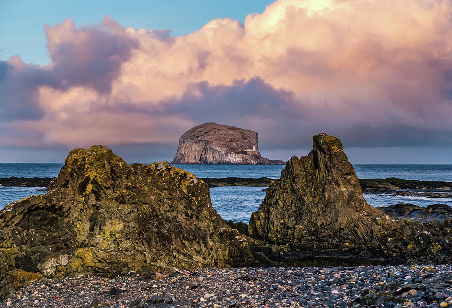 Bass Rock, Scotland Photograph by Sally Anderson | Fine Art America