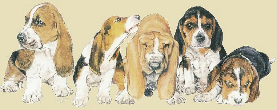 Basset Hound Puppies Mixed Media by Barbara Keith