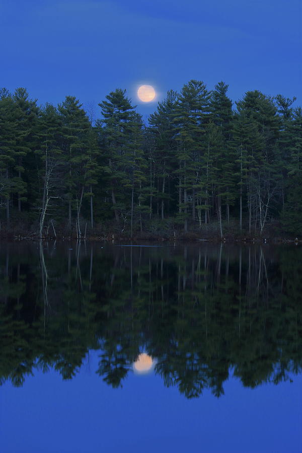 Bassett Pond Moonrise Photograph
