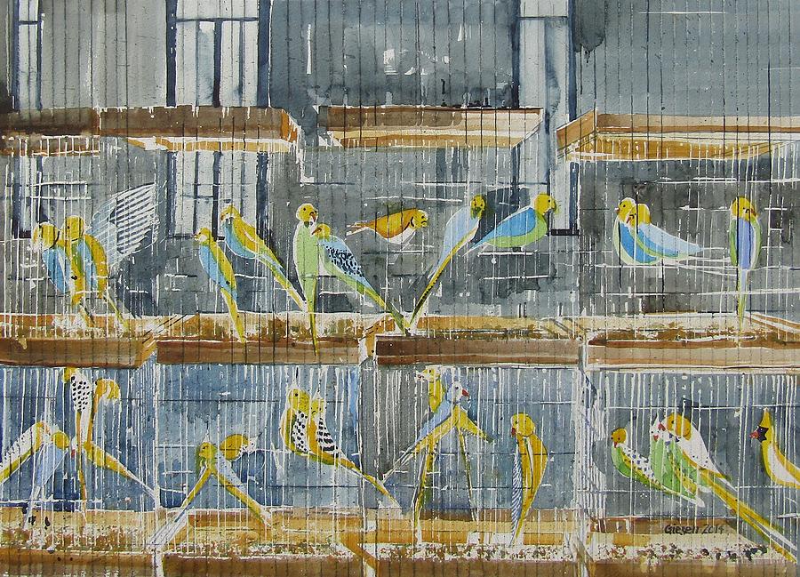 Bird Painting - Basta Budgies by Martin Giesen