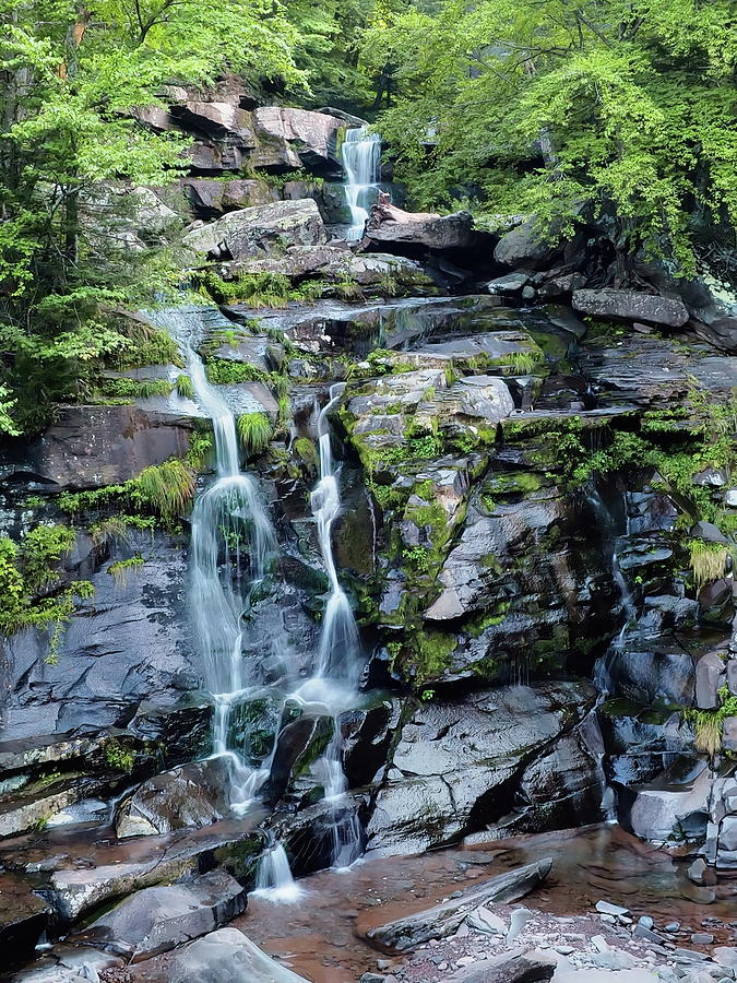 Bastion Falls Photograph by Bearj B Photo Art | Fine Art America