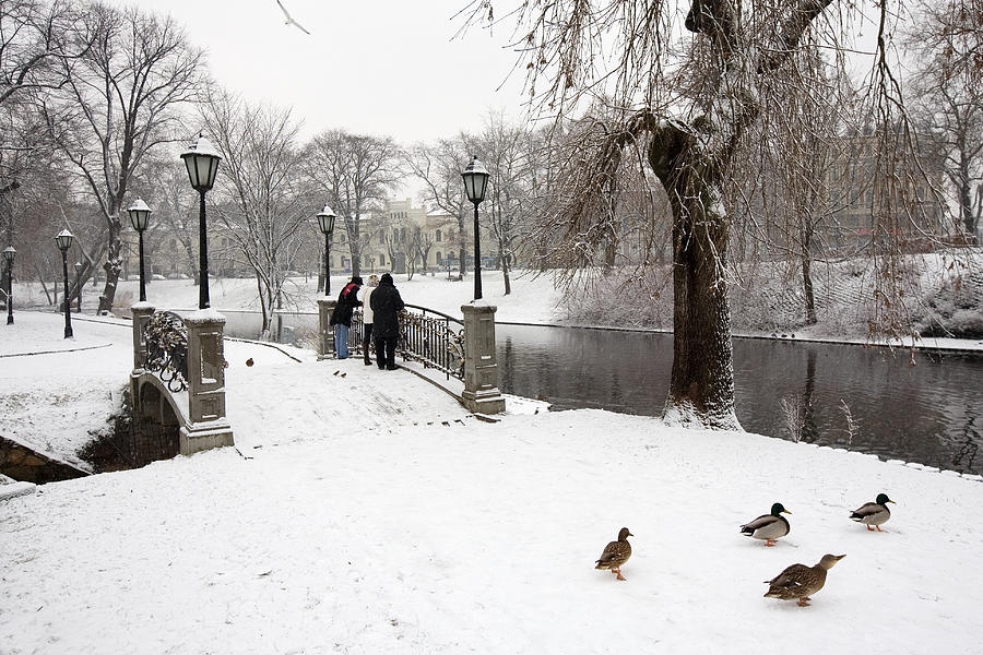 Bastion hill park of Riga in the winter Photograph by Imantsu
