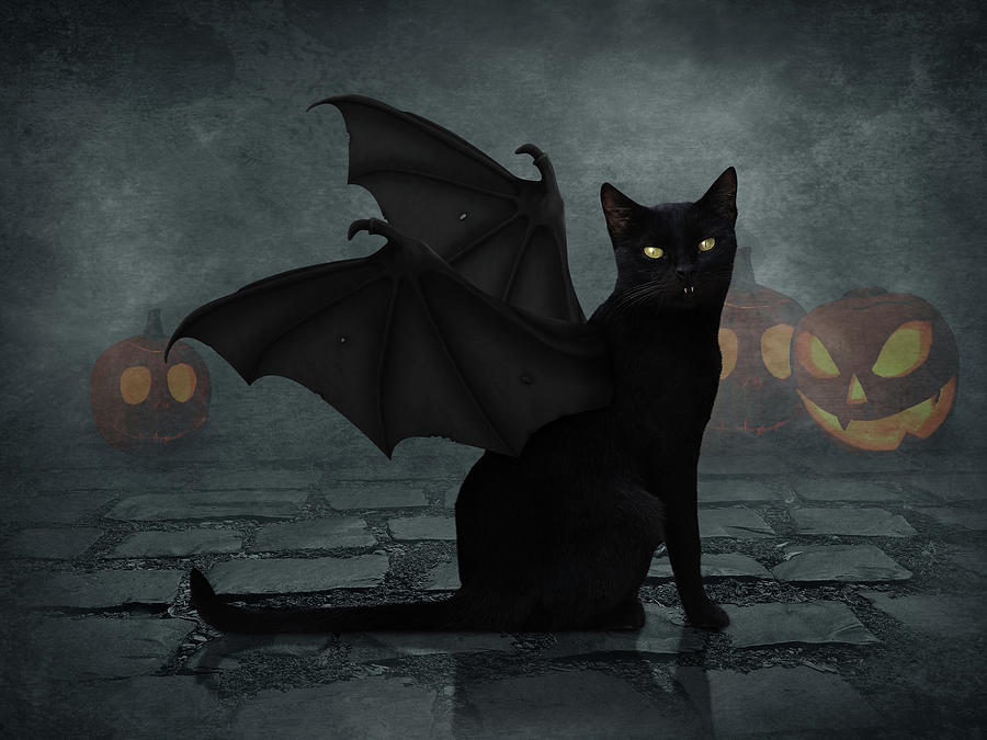 Bat cat Digital Art by Mihaela Pater Fine Art America