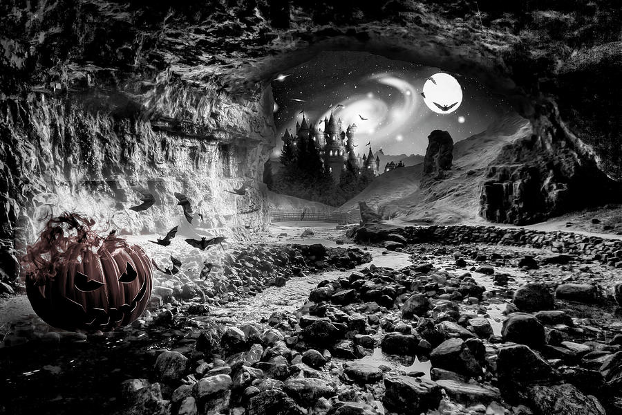 Bat Cave Black and White Digital Art by Debra and Dave Vanderlaan