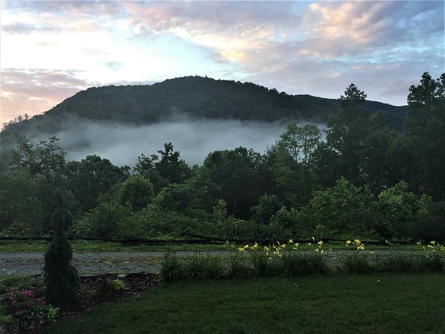 Bat Cave North Carolina Photograph by Cleaster Cotton
