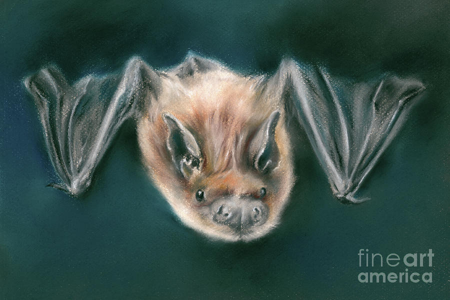 Bat Dark Nighttime Flier Painting by MM Anderson