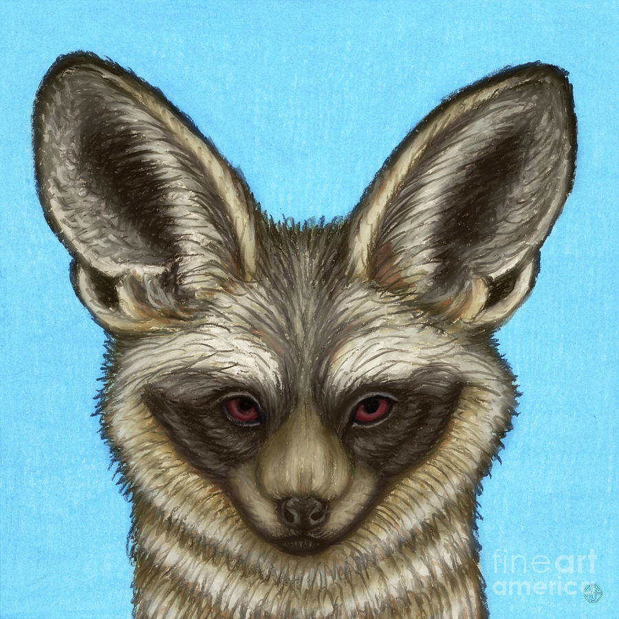 Bat Eared Fox Painting by Amy E Fraser