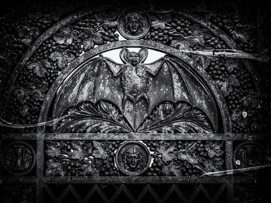 Bat, Paris Photograph by Brooke T Ryan