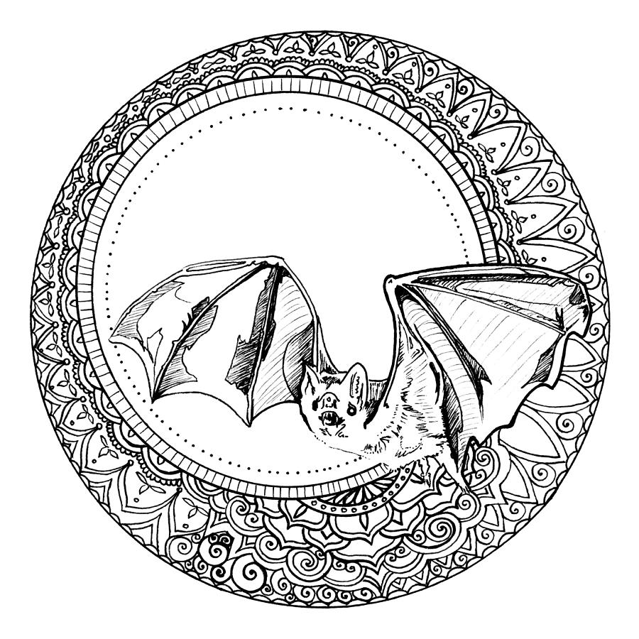 Bat with Decorative Moon Halo Drawing by Katherine Nutt