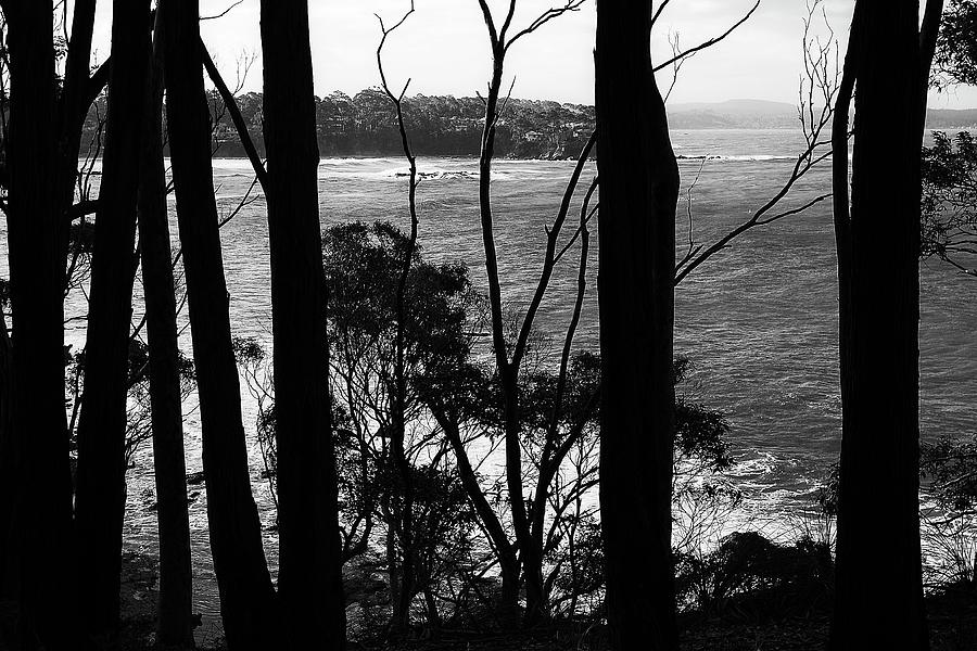 Batemans Bay, Australia 2 Photograph by Steven Ralser