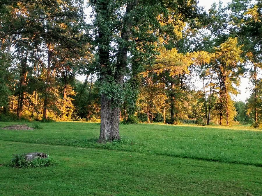 Escape To Nature’s Embrace: A Guide To Illinois’ Bates Campground